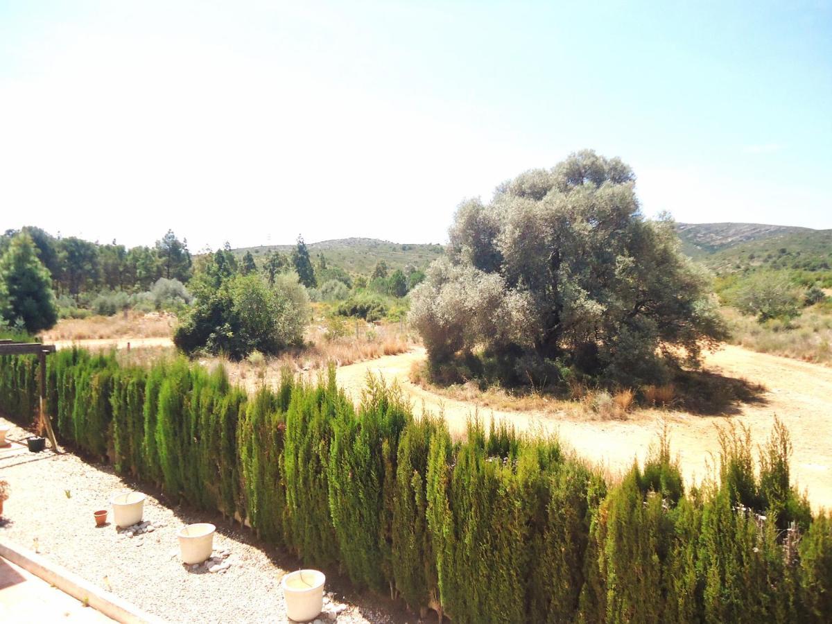 Los Olivos Residencial Lek Peñiscola Zewnętrze zdjęcie